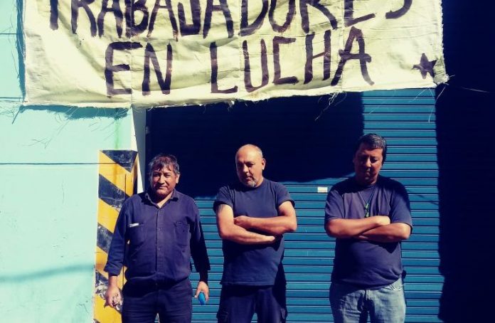 Oropel en lucha