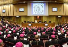 Sínodo de Obispos, un difícil escenario de la crisis de la Iglesia Católica