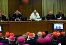 «Es como contratar a un sicario» | Otra provocación del papa contra el aborto legal Papa Francisco