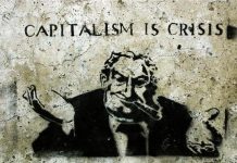 Ciclos, onda y curva del desarrollo capitalista