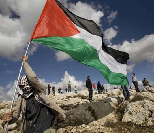 Alcides Chrsitiansen “La justicia electoral quiere proscribir la lista del Nuevo MAS” izquierda palestina