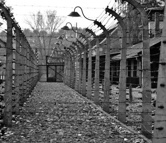 A 75 años de la liberación de Auschwitz