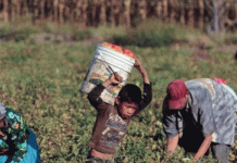 Vamos por un encuentro nacional de estudiantes de base