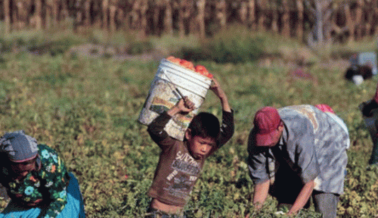 Vamos por un encuentro nacional de estudiantes de base