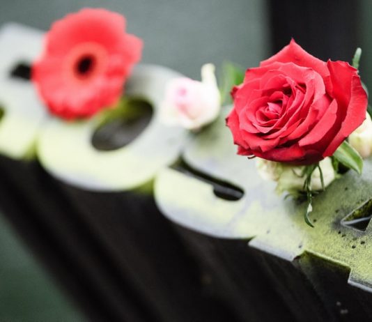 «El orden reina en Berlín» El orden reina en Berlín Rosa Luxemburgo