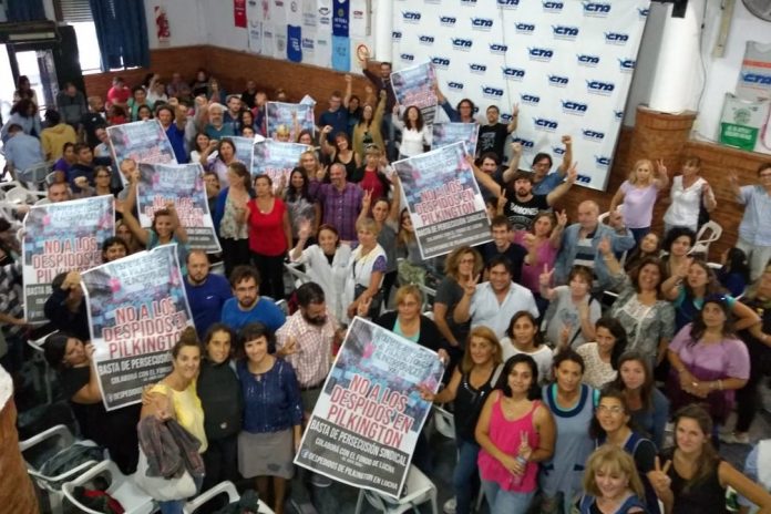 pilki docentes