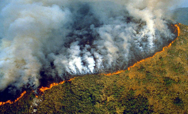 Resultado de imagen para incendio amazonas