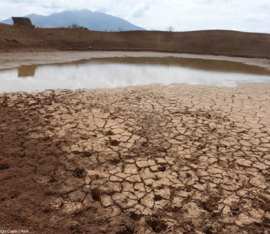 (Dossier cambio climático) Entrevista a Daniel Tanuro