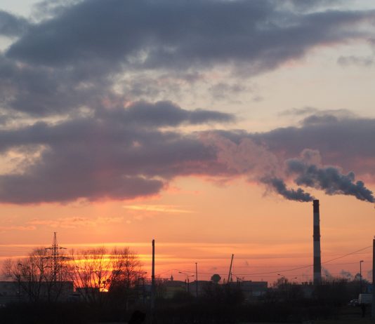 (Dossier cambio climático) Crisis capitalista. François Chesnais: «Una nueva fase prolongada de acumulación de capital, no es posible”