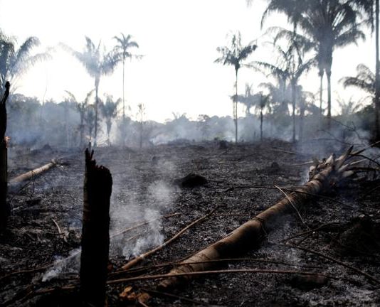 (Dossier cambio climático) De la economía del socialismo a la planificación ecológica
