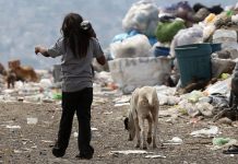 35% de pobres, 7,7% de indigentes