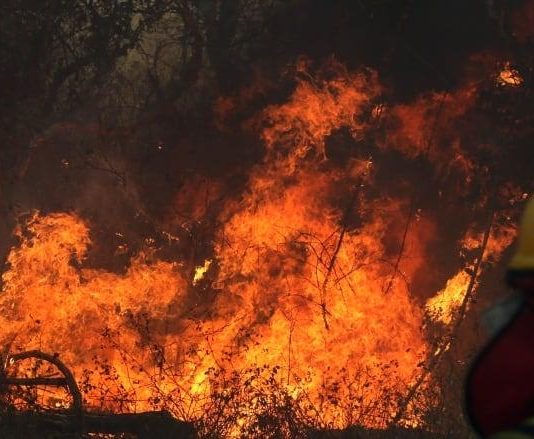 Cambio climático y mitigación