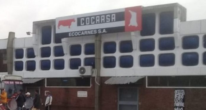 ecocarnes