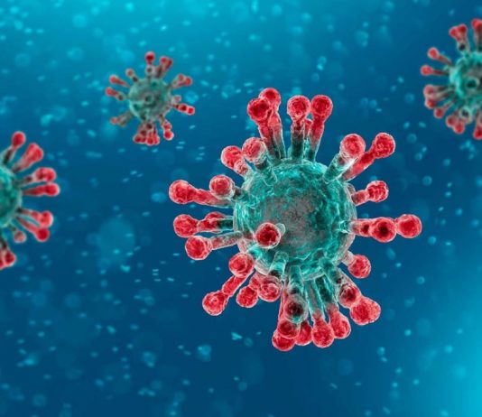 Manuela Castañeira sobre la emergencia por el coronavirus