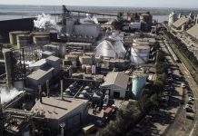 Manuela Castañeira: «Repudiamos el fallo que restituye a los vaciadores de Vicentin»