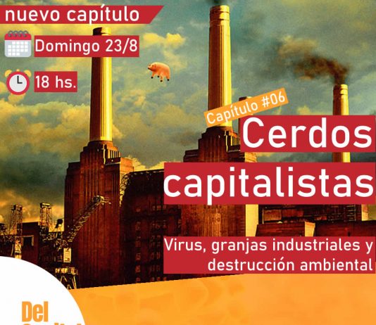Del capital y otros virus #06 – Cerdos capitalistas