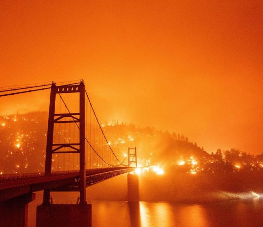 EE UU: avanzan implacables los incendios forestales