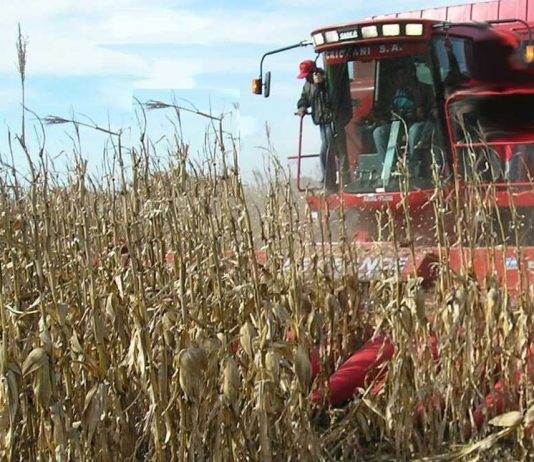 Un programa socialista para el campo argentino