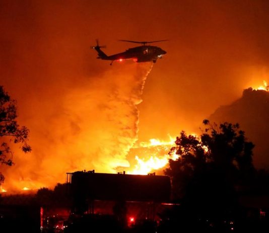 La fauna del desierto californiano no volverá a recuperarse. El fuego se ha convertido en el Antropoceno en el equivalente de la guerra nuclear