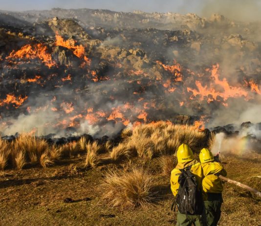 Los incendios ya afectaron un tercio de los bosques de Córdoba