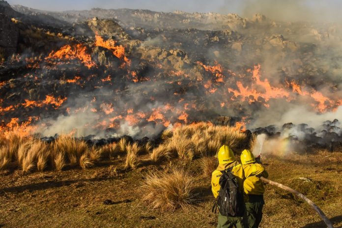 incendios3