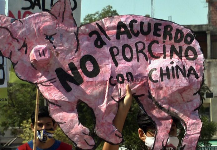 acuerdo porcino