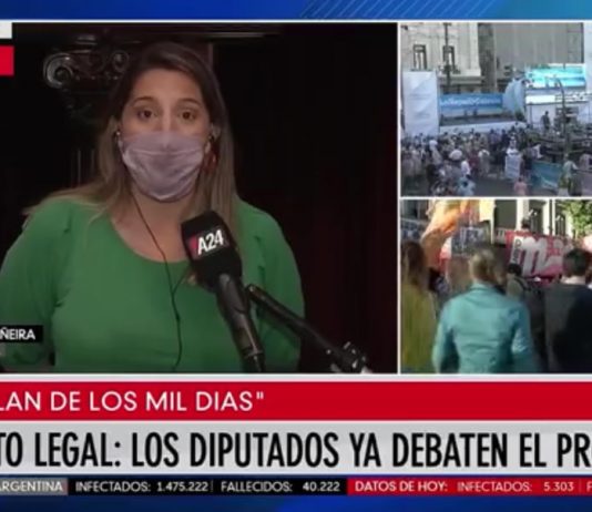 Manuela Castañeira: «La mayoría de la sociedad está a favor de la legalización del aborto»