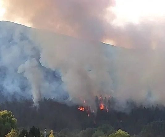 Río Negro: «El incendio ya arrasó 6.500 hectáreas de bosque» Incendio Río Negro