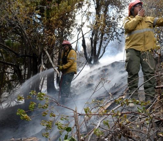 El incendio en El Bolsón ya consumió 10 mil hectáreas de bosque