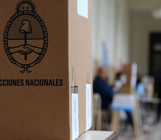 Manuela Castañeira: «Las PASO no solo deben suspenderse sino eliminarse definitivamente»