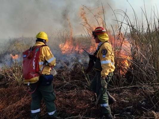 Santa Fe: Nuevos incendios en los humedales del Paraná