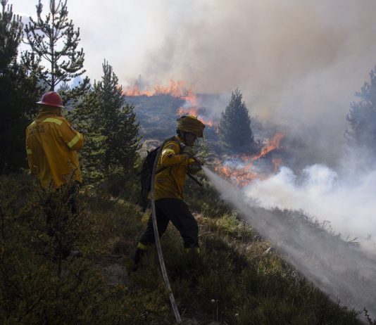 Incendios en la Patagonia: Hallaron muerto a un trabajador rural Basta de Quemas