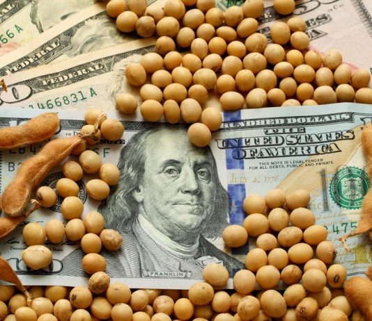 Todo para los ricos: Milei baja las retenciones al agro retenciones