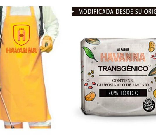 #ChauHavanna: sigue el escándalo por el alfajor a base de trigo transgénico