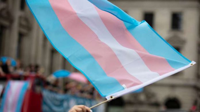 bandera trans