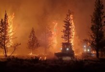Los incendios en Estados Unidos comienzan a «crear su propio clima»