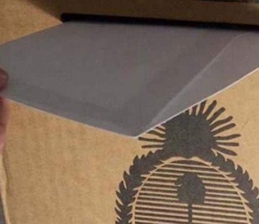 El Nuevo MAS dará pelea en noviembre en cinco provincias