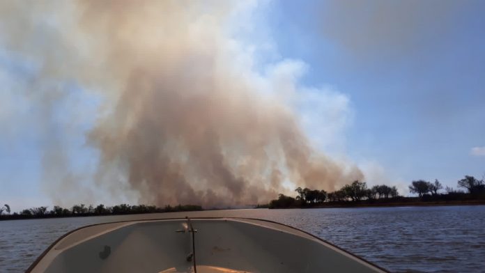 incendios delta parana incendios delta parana