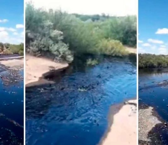 No es una “falla”, es capitalismo