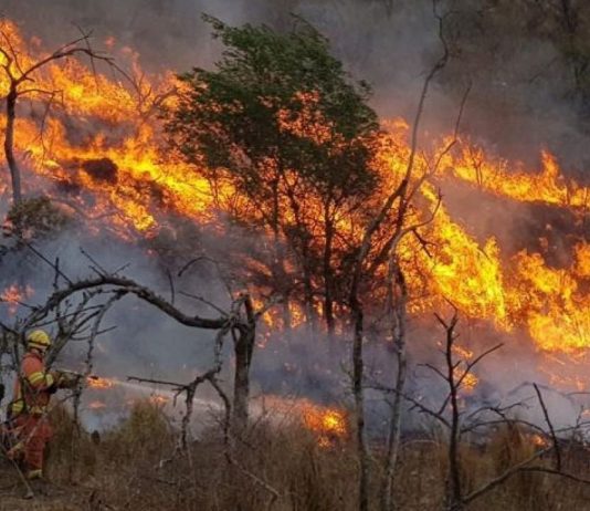 Incendios en la Patagonia: «todo fuego es político»