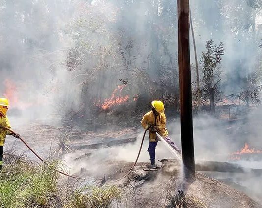 Misiones: se extienden los focos de incendios y no se prevén lluvias