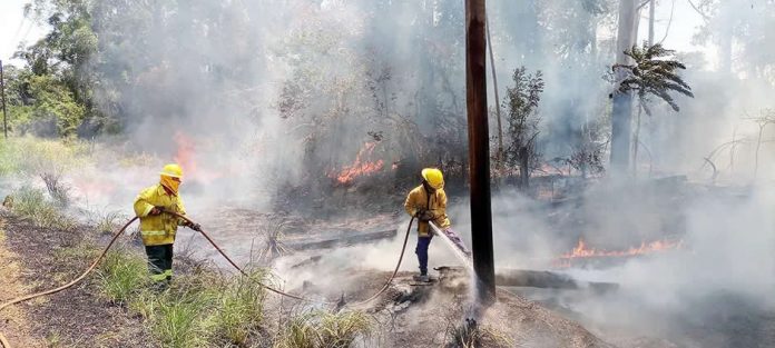 incendios misiones