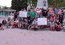 Se formó la asamblea “Ni un árbol menos” en Ensenada