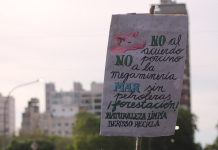 #Oceanazo: gran marcha en La Plata