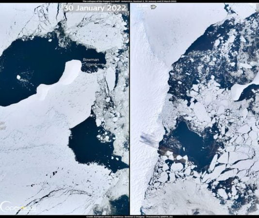 Antártida: colapsó una plataforma de hielo del tamaño de Nueva York