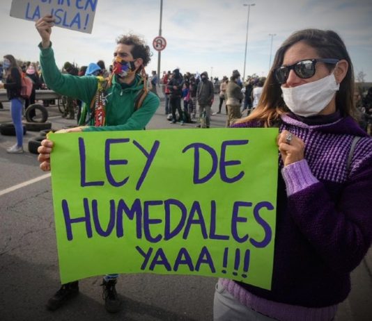 Ley de Humedales: hoy se vuelve a presentar el proyecto