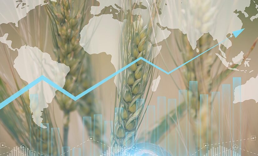 ¿Hacia una crisis alimentaria global?