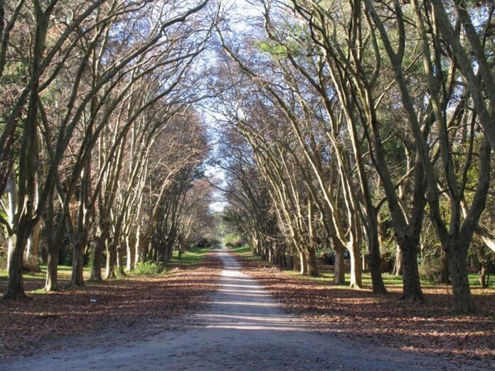 Parque Pereyra Iraola