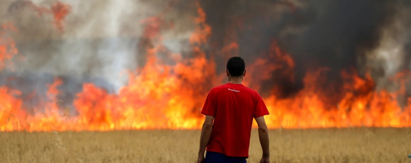 Cambio climático: histórica ola de calor e incendios forestales en Europa