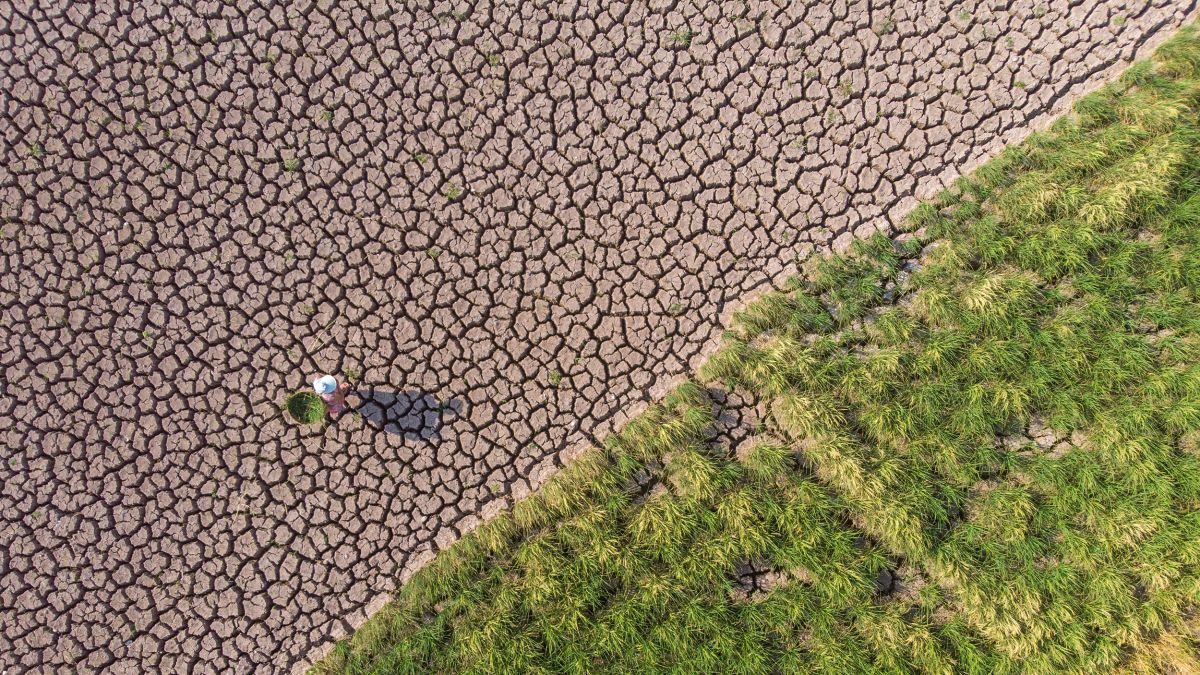 China atraviesa la ola de calor más alta registrada en su historia